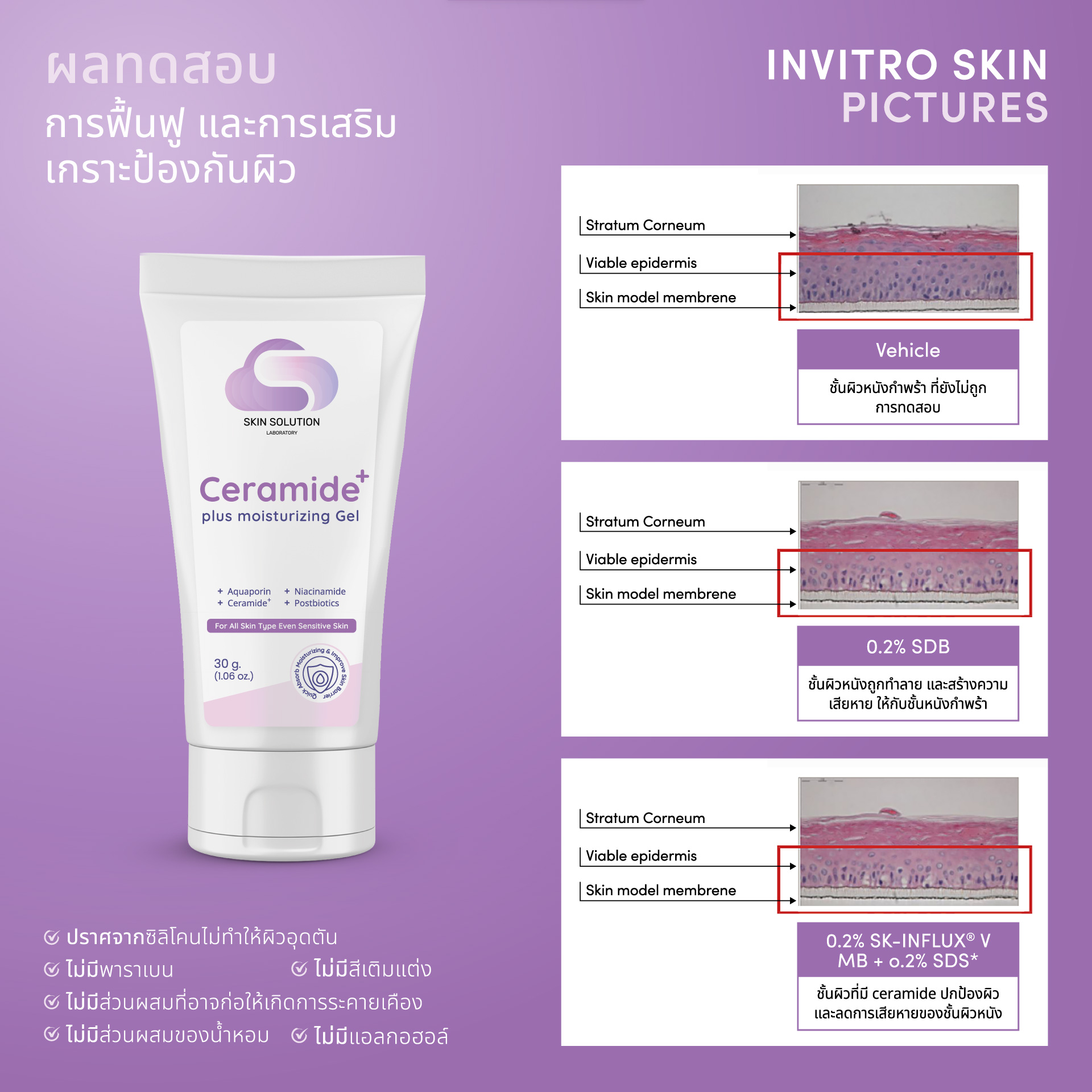 AW4_SSL_Ads-Content_Ceramide-Plus-Moisturizing-Cream-Gel_4P_Dec2025